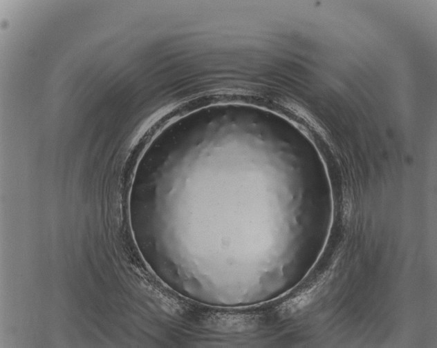 X0000067000829200603311612