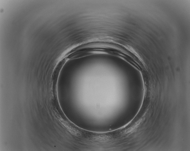 X0000067000830200603311612