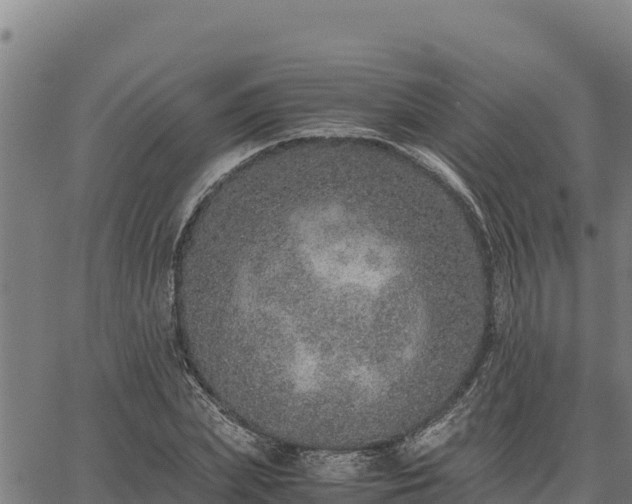 X0000067000831200603311612