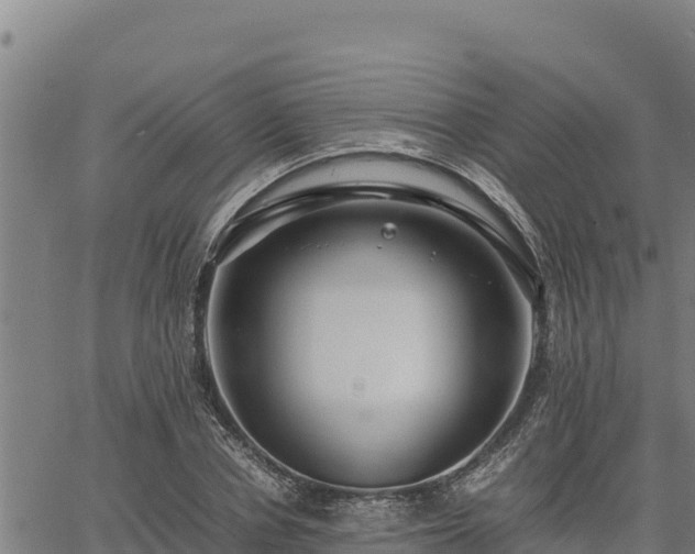 X0000067000834200603311612