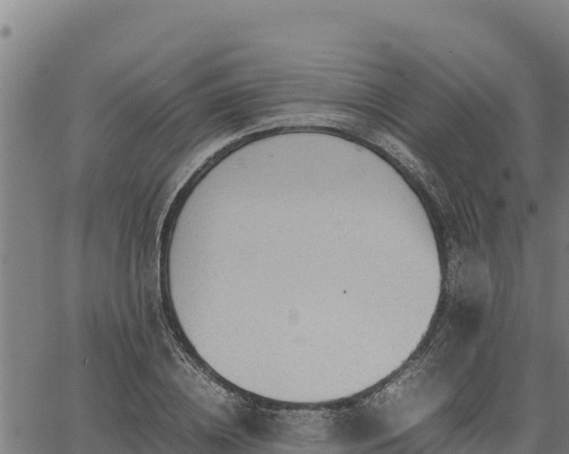 X0000067000836200603311612