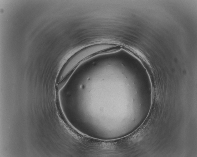 X0000067000839200603311612