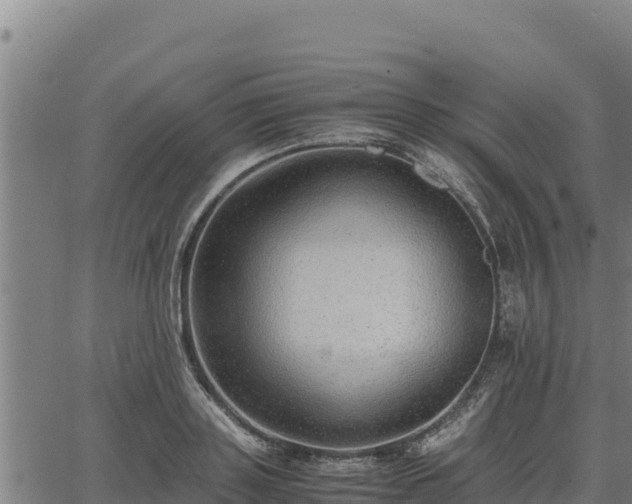 X0000067000843200603311612