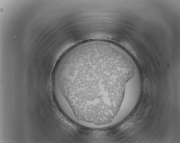 X0000067000848200603311612