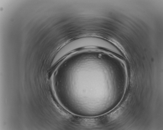 X0000067000849200603311612