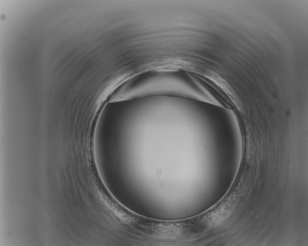 X0000067000850200603311612