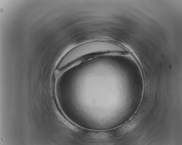 X0000067000851200603311612