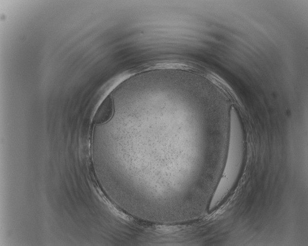 X0000067000852200603311612