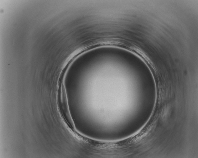 X0000067000853200603311612