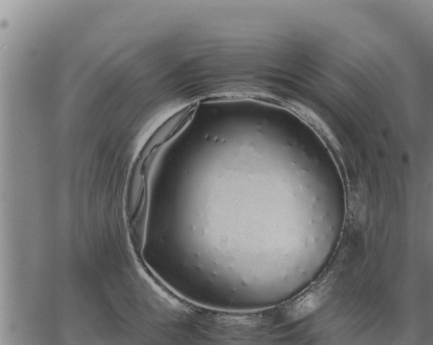 X0000067000855200603311612