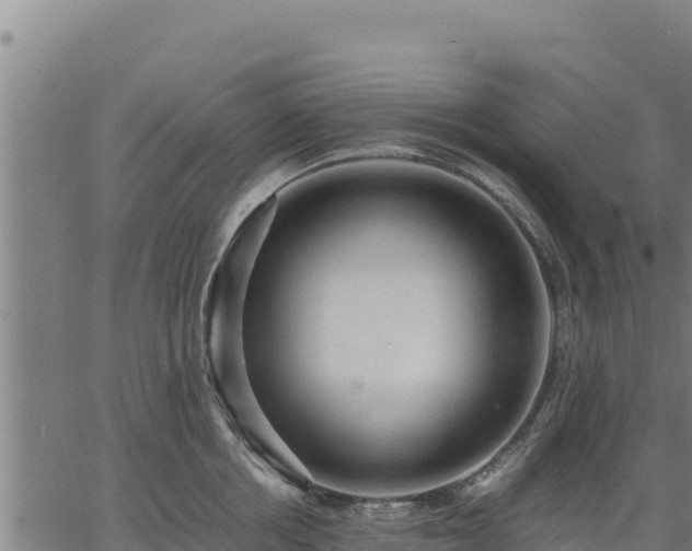 X0000067000858200603311612