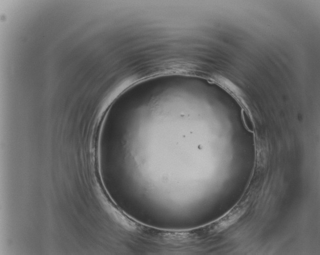 X0000067000859200603311612