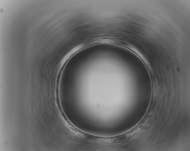 X0000067000861200603311613