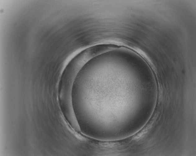 X0000067000862200603311613