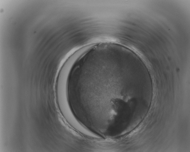 X0000067000864200603311613