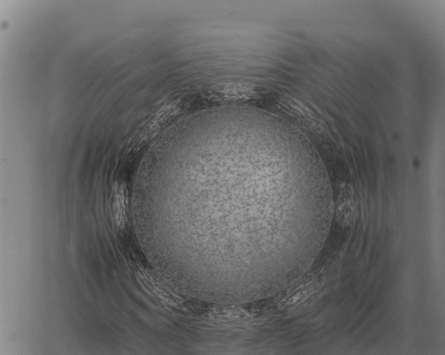 X0000067000866200603311612