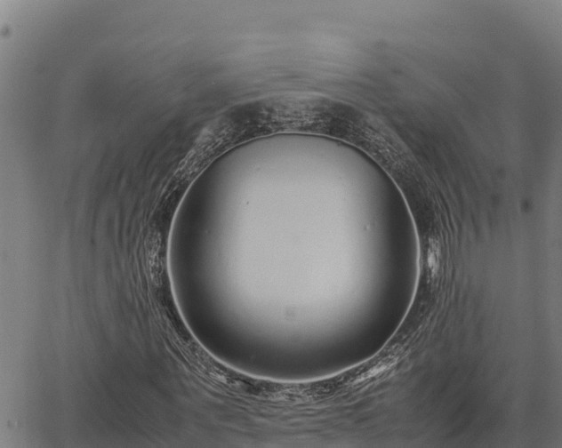 X0000067000867200603311612