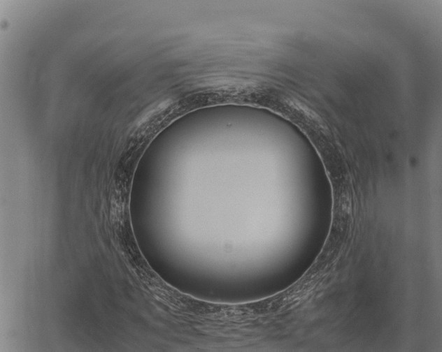 X0000067000869200603311612