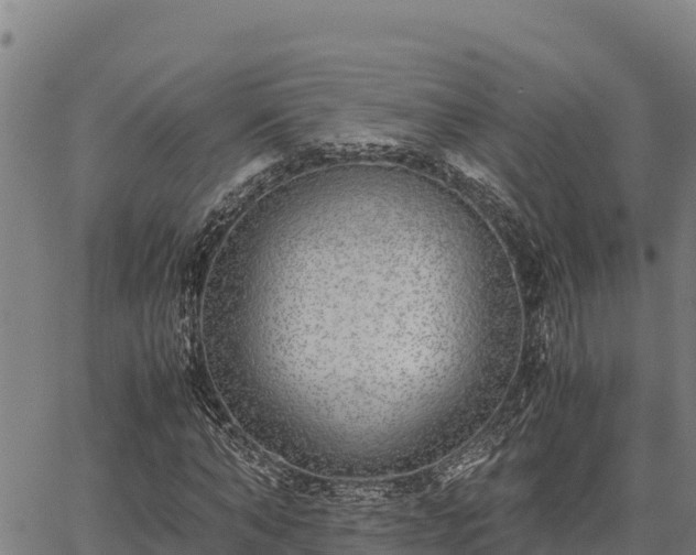 X0000067000870200603311612