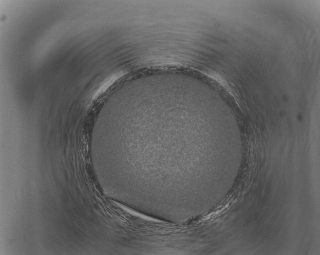 X0000067000871200603311612