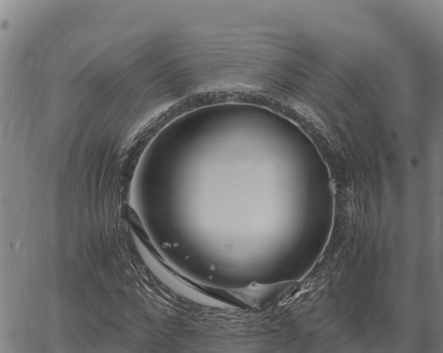 X0000067000872200603311612