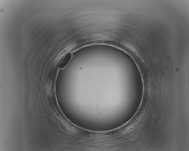 X0000067000873200603311612