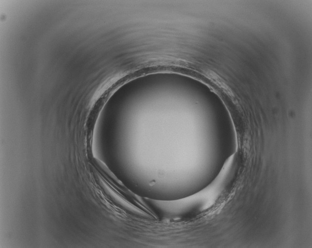 X0000067000877200603311612