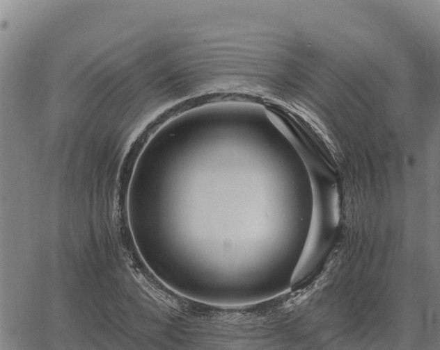 X0000067000880200603311612