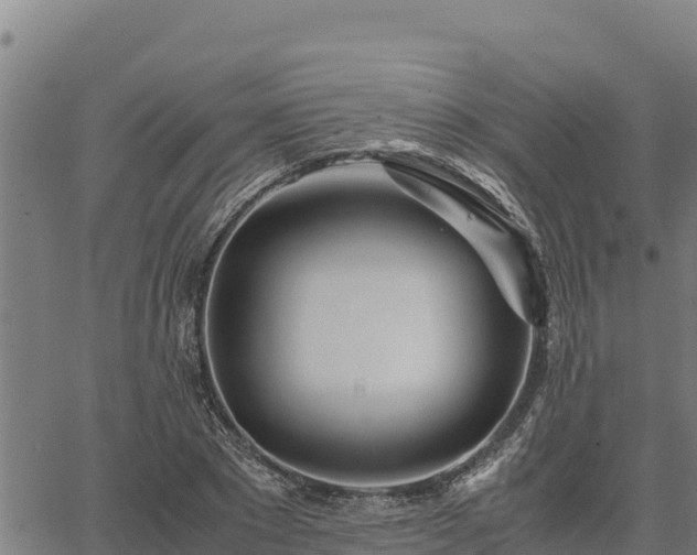 X0000067000881200603311612