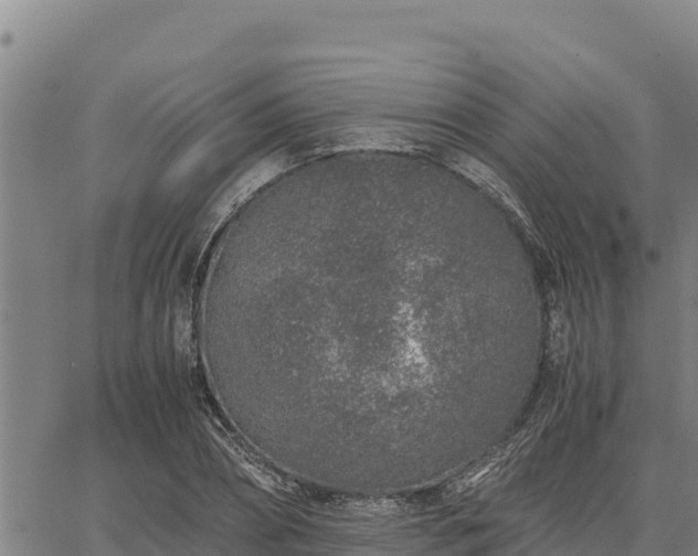 X0000067000882200603311611