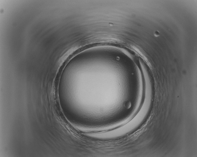 X0000067000883200603311611