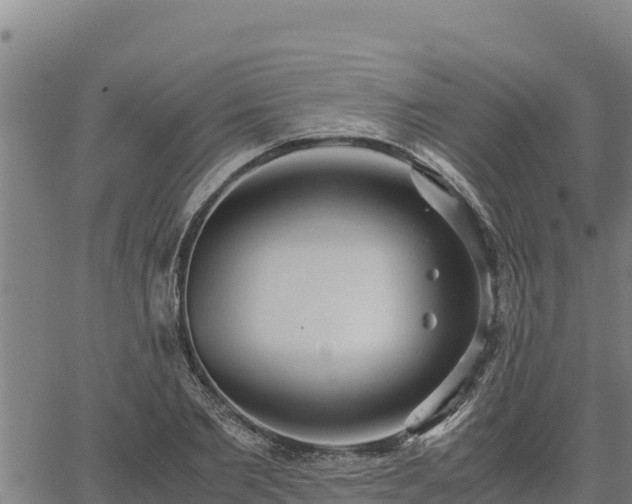 X0000067000885200603311611