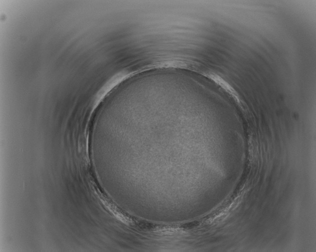 X0000067000886200603311611