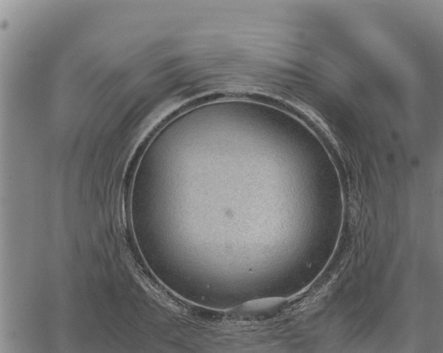 X0000067000887200603311611