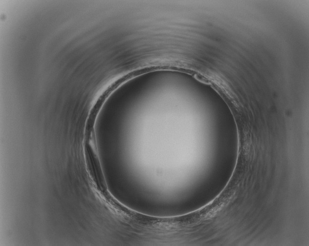 X0000067000888200603311611