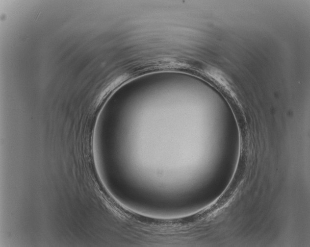 X0000067000889200603311611