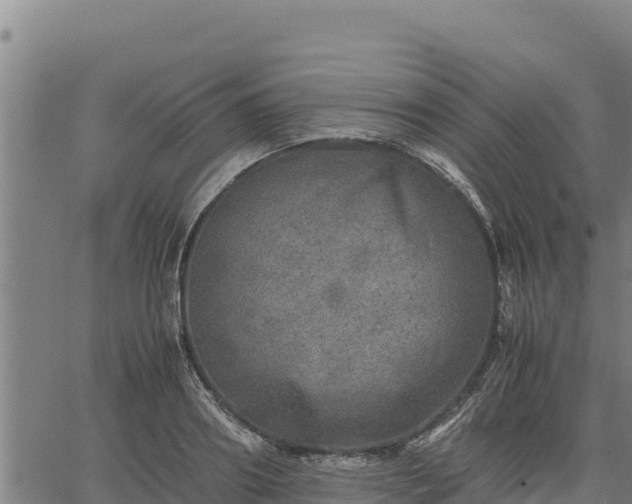 X0000067000890200603311611