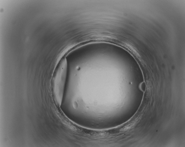 X0000067000891200603311611