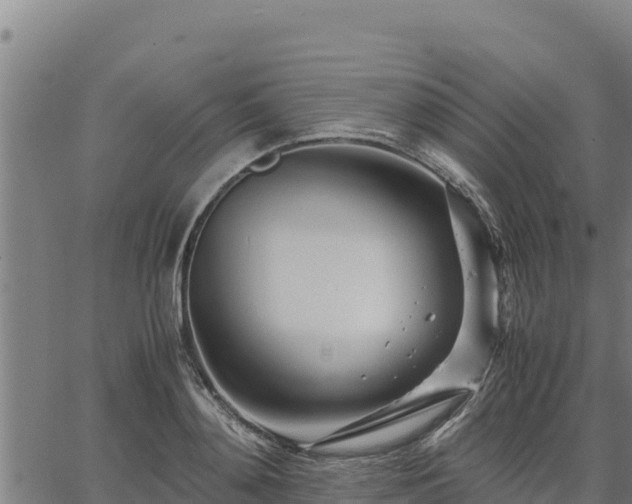 X0000067000892200603311611