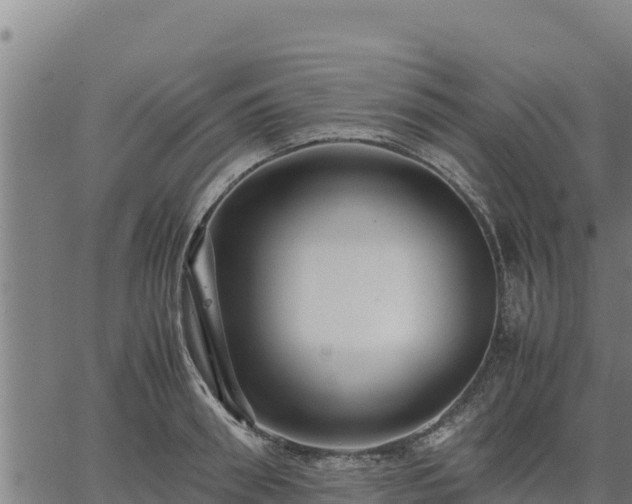 X0000067000898200603311611