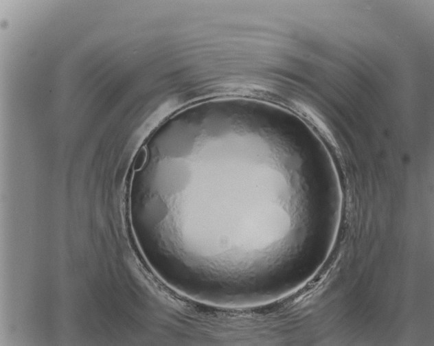 X0000067000899200603311611