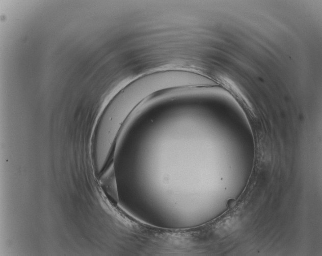 X0000067000900200603311611