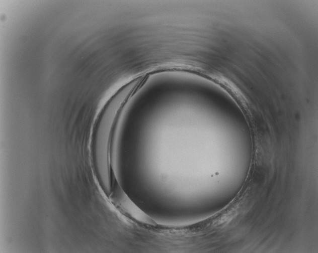 X0000067000902200603311611