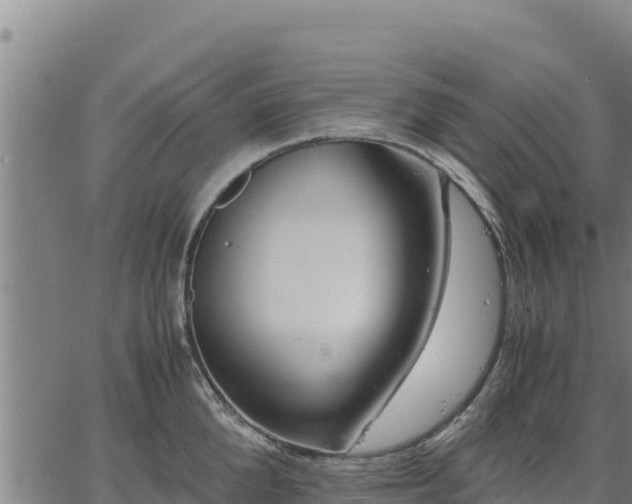 X0000067000904200603311611