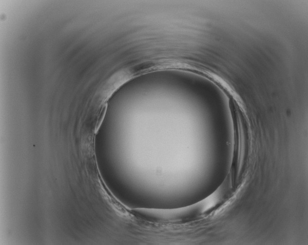 X0000067000905200603311611