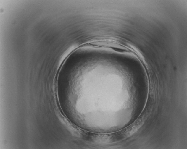 X0000067000907200603311611