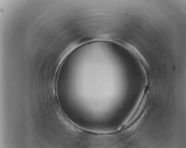 X0000067000908200603311611