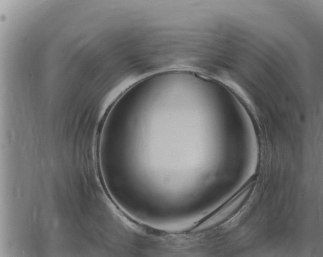 X0000067000910200603311611