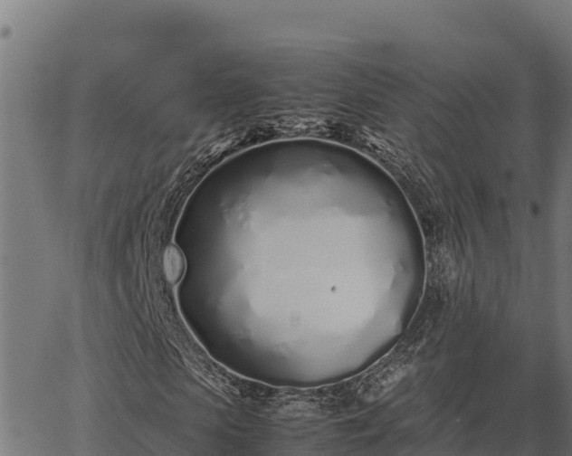 X0000067000913200603311610