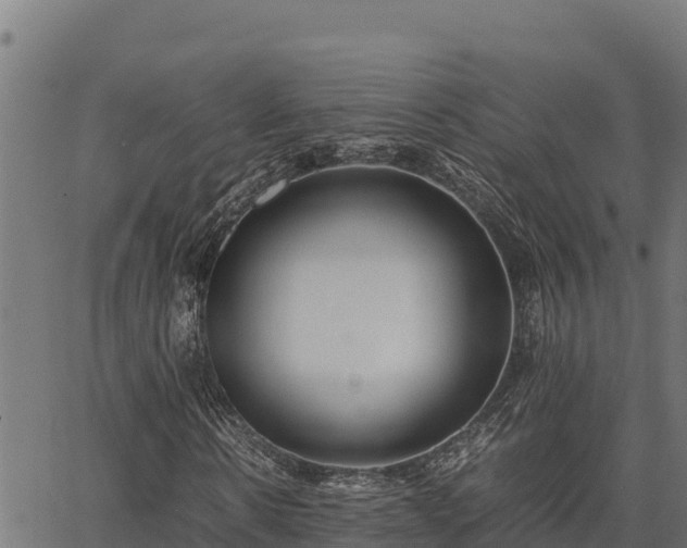 X0000067000914200603311610